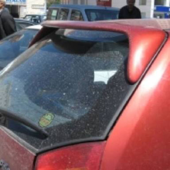 Palio Kısa Spoiler